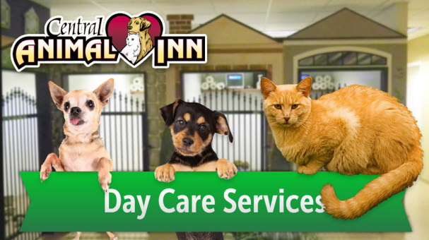 services day care